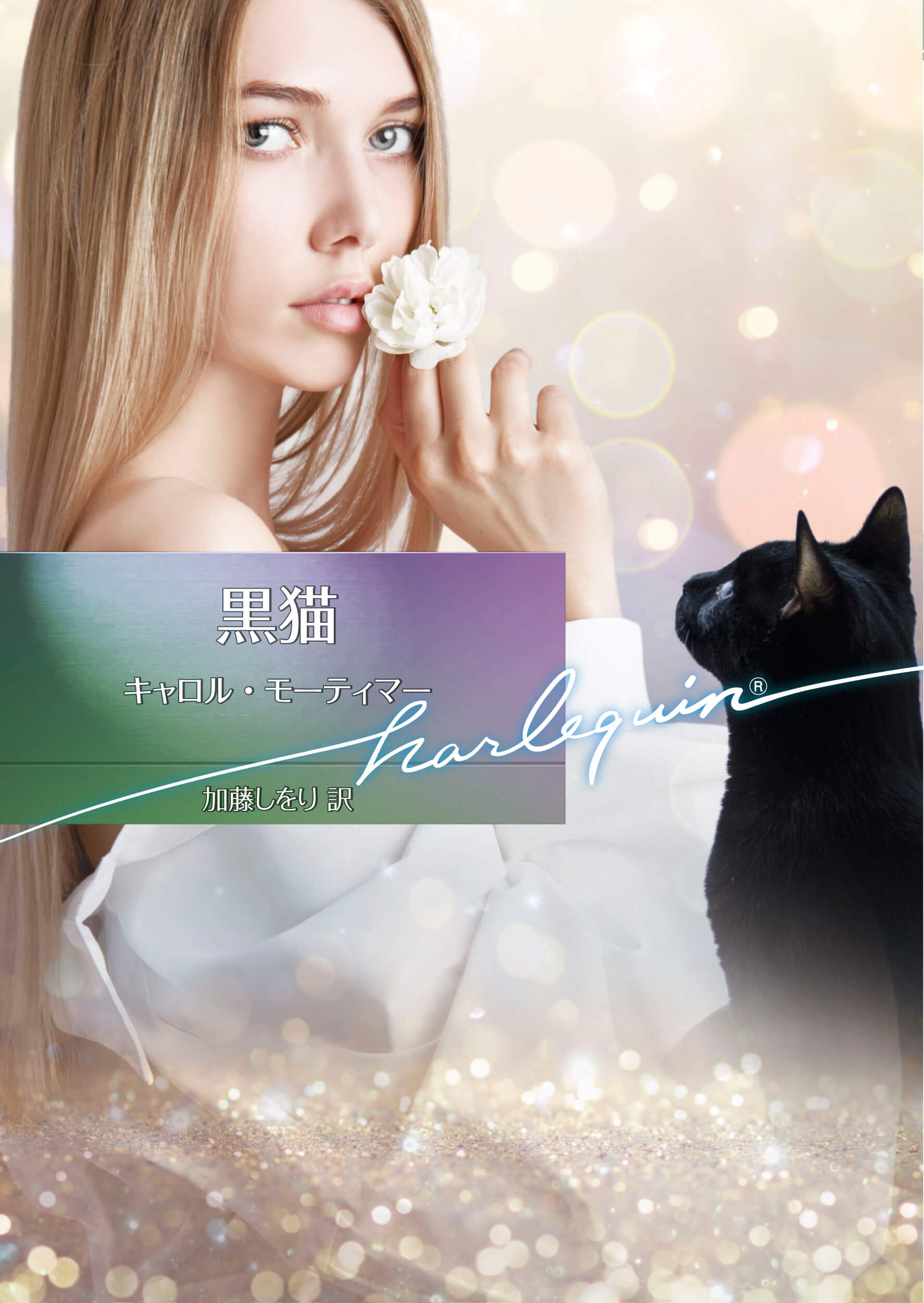 黒猫
