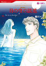 月の夜の誘惑