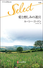 愛と憎しみの迷宮