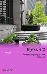 嵐のように