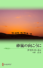 砂嵐の向こうに