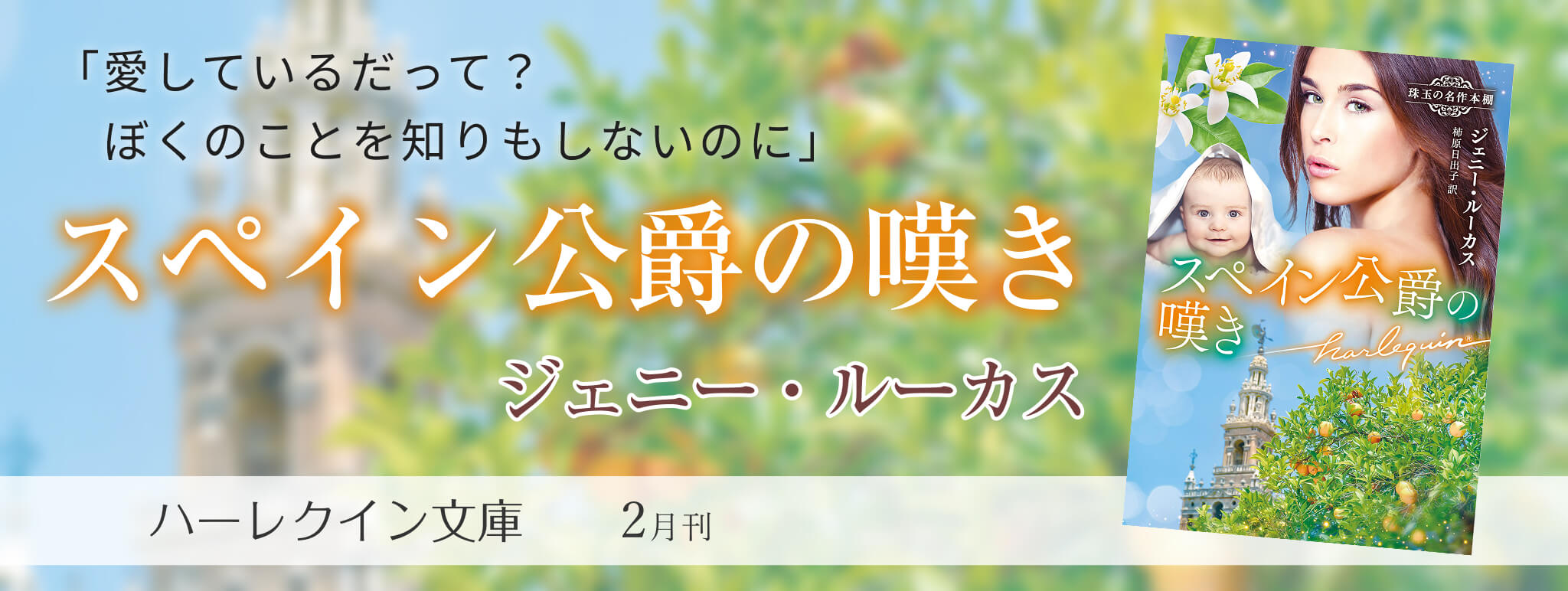 16531ハーレクイン小説(シリーズ・文庫・mirabooks)