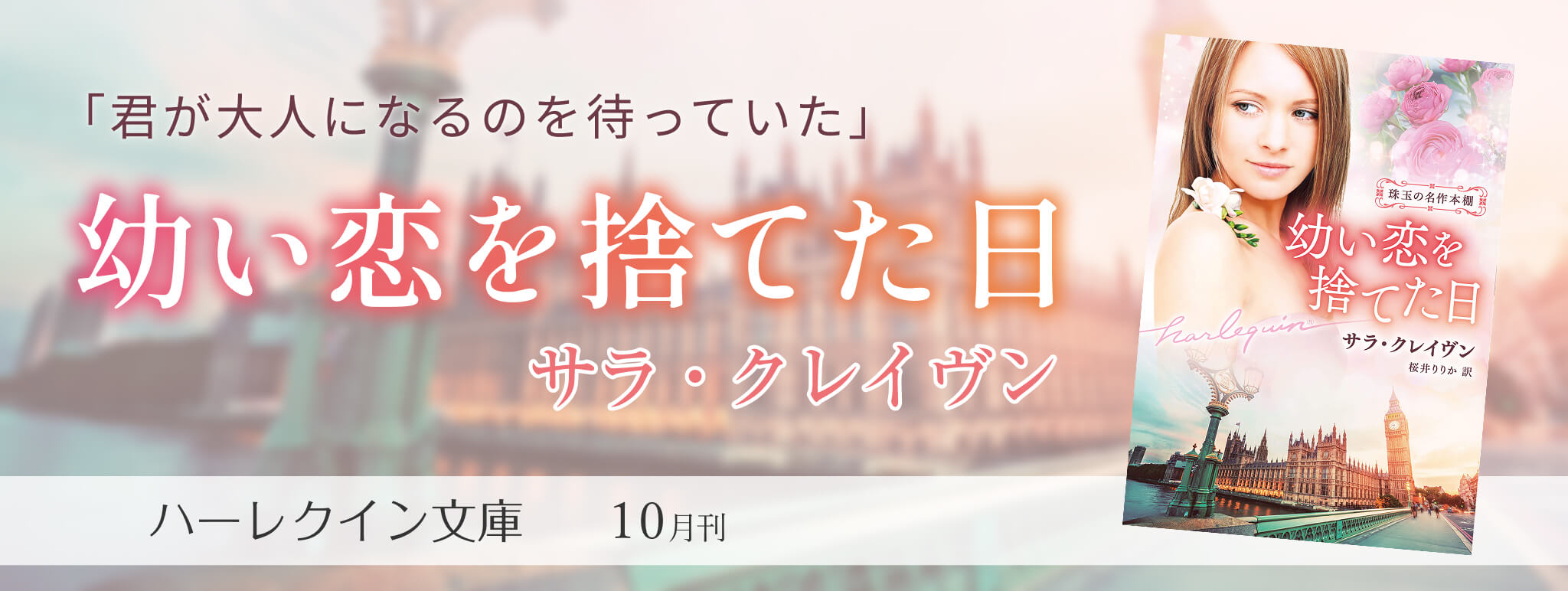 16902ハーレクイン小説（シリーズ・文庫・mirabooks）